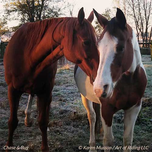 Chase & Karen