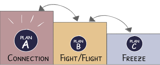 Plan A, B, V